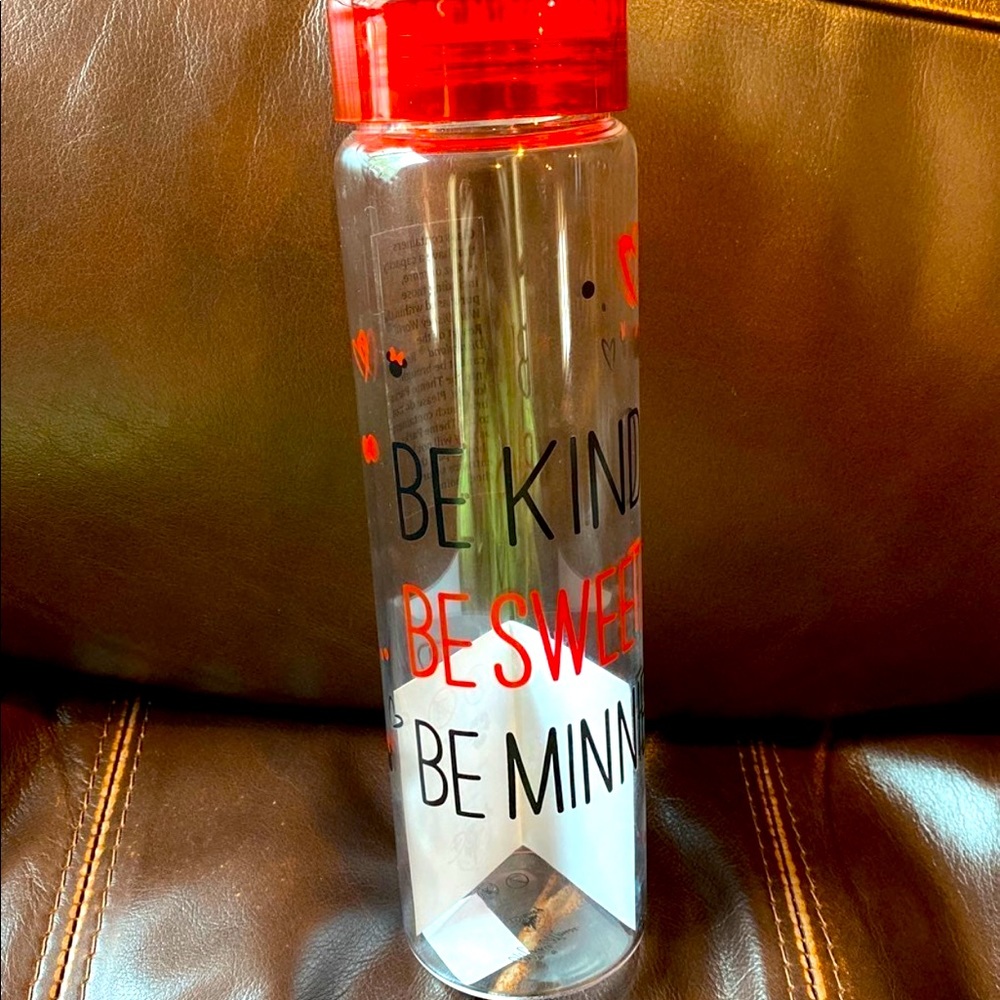 Disney Glass Water Bottle